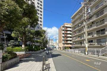 敷地南側の前面道路