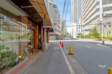 敷地東側の前面道路（南側から）