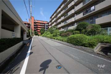 敷地南側の前面道路
