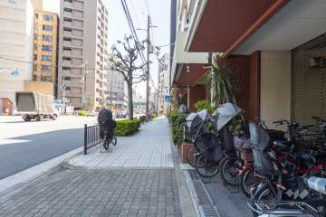 敷地東側の前面道路（北側から）