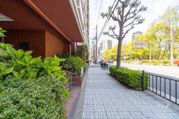 敷地東側の前面道路（南側から）