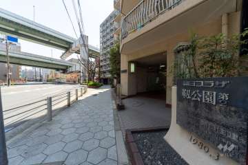 敷地の北側前面道路（西側から）