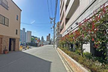 敷地南側の前面道路は西道頓堀通です（東側から）。