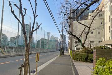 敷地東側の前面道路