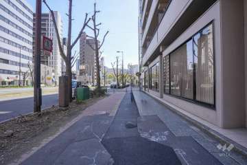 敷地東側の前面道路　