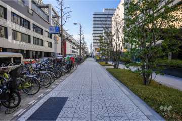 敷地南側の前面道路（東側から）