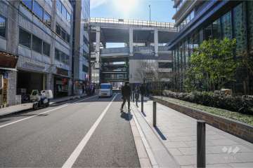 敷地東側の前面道路（北側から）