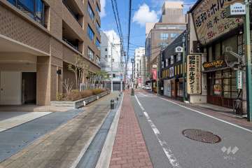 敷地東側の前面道路（南側から）