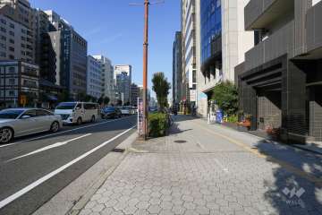 敷地の西側前面道路（南側から）