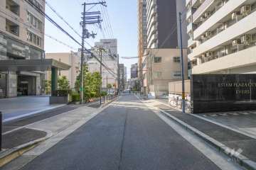 敷地南側の前面道路　