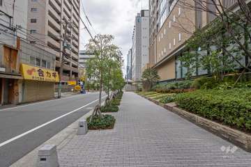 敷地北側の前面道路（西側から）
