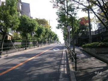 敷地北側の街路樹のきれいな通り