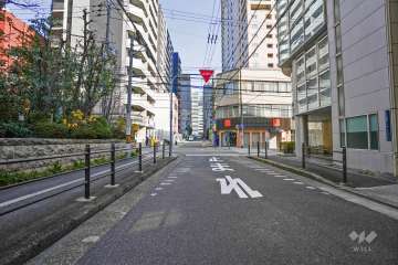 敷地南側の前面道路（西側から）