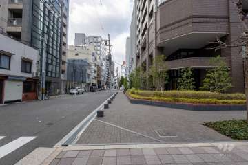 敷地南側の前面道路（東側から）
