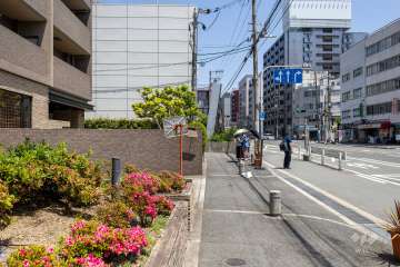 敷地東側の前面道路