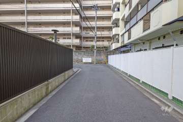 敷地西側の前面道路（北側から）