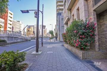 敷地東側の前面道路（北側から）