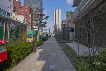 敷地西側の前面道路（南側から）