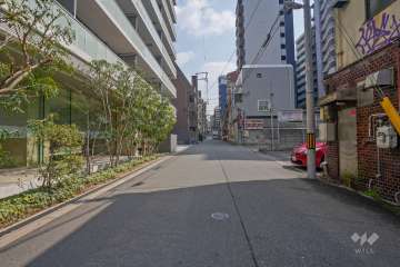 敷地南側の前面道路（西側から）