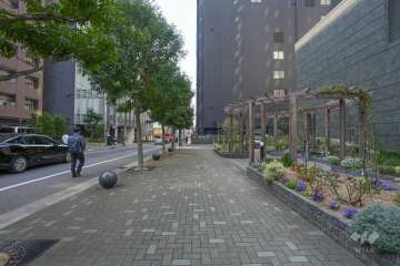 敷地南側の前面道路