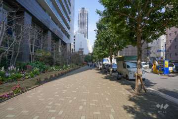 敷地東側の前面道路