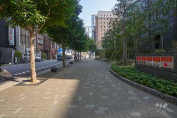 敷地北側の前面道路