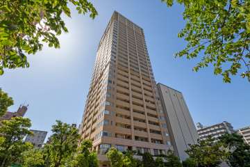 タワーザ上町台の外観（南東側から）