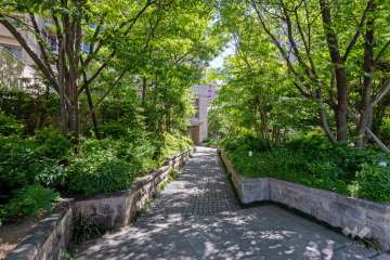 エントランスアプローチ