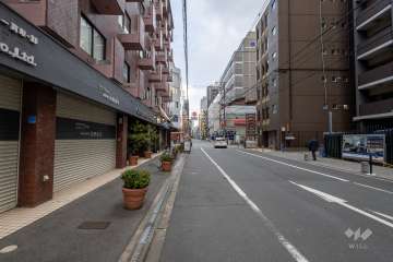 敷地南側の前面道路（西側から）