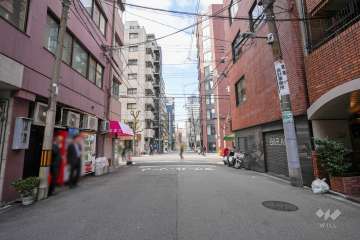 敷地南側の前面道路　