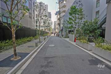 敷地の北側道路（東側から）