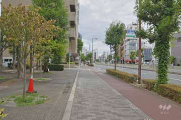 敷地西側の前面道路　　