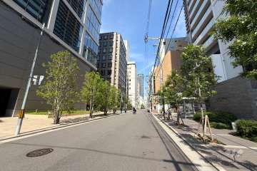 敷地北側の前面道路