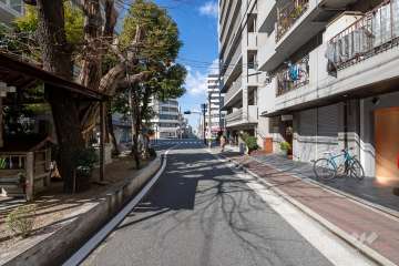 敷地南側の前面道路（東側から）