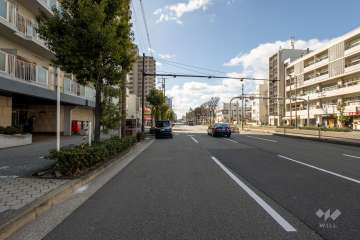 敷地西側の前面道路（北側から）