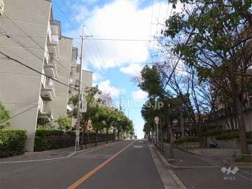 敷地南側の前面道路。街路樹のきれいな通りです。