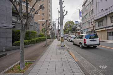 敷地北西側の前面道路（北東側から）