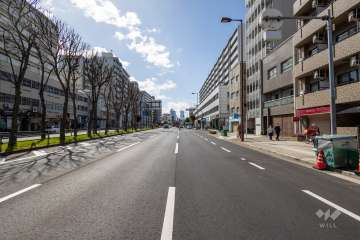 敷地の東側前面道路（北側から）