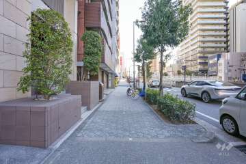 敷地西側の前面道路（北側から）