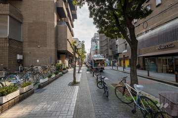 敷地の西側前面道路（北側から）