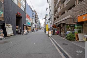 敷地の西側前面道路（南側から）