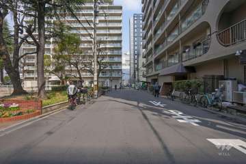 敷地の西側前面道路（南側から）