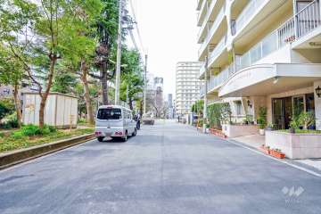 敷地の南側前面道路（西側から）