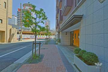 敷地の東側前面道路（北側から）