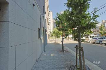 敷地の南側前面道路（西側から）