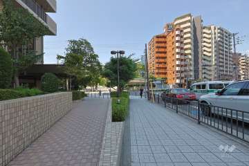 敷地北側の前面道路（東側から）