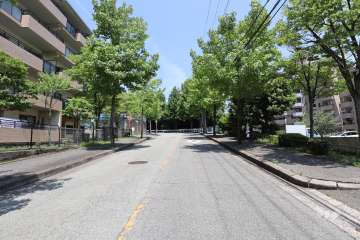 敷地北側の前面道路（西側から）