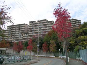 ルミナス箕面の森一番街全体。右端が１号棟です。