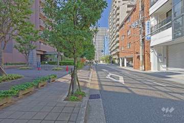 敷地の北側前面道路（東側から）。敷地南側はグラウンド、西側は『鷺洲上公園』に隣接した開放感ある立地です。