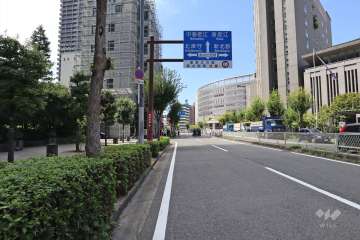 敷地北側の前面道路